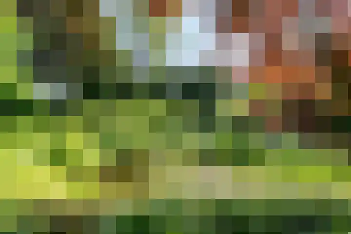 Haydnlaan 8 Breda thumbnail 42