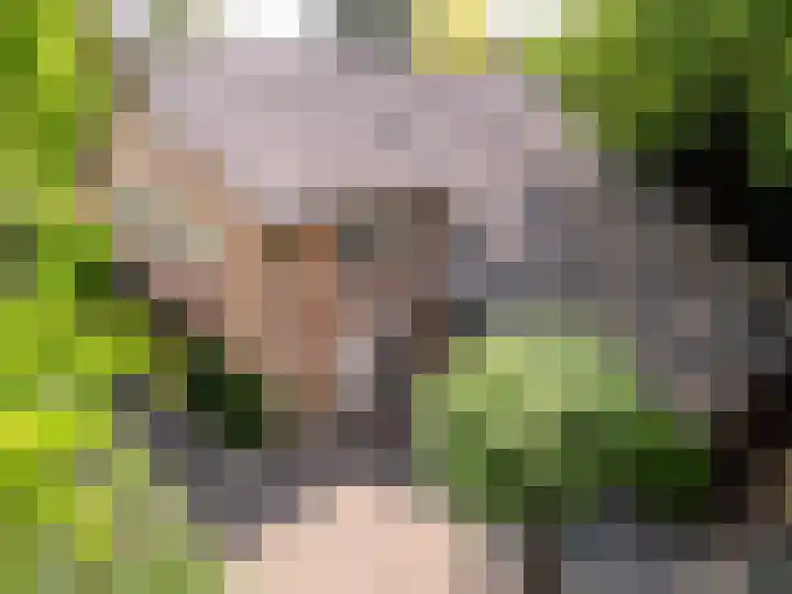 Haydnlaan 8 Breda thumbnail 43