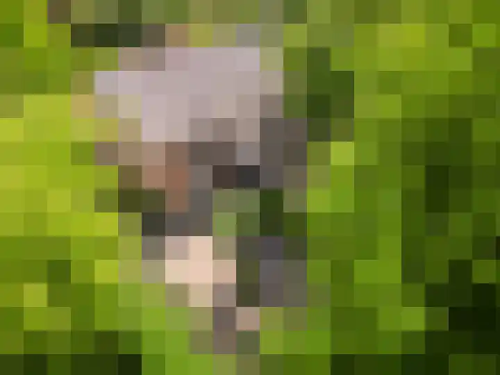 Haydnlaan 8 Breda thumbnail 46