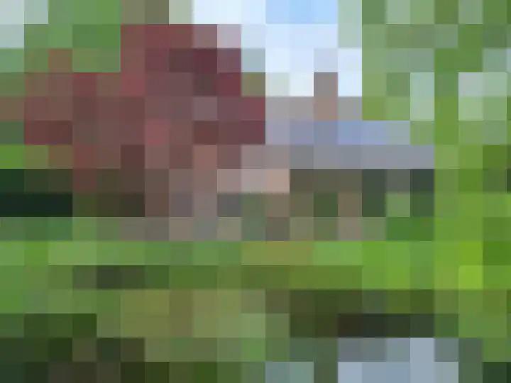 Haydnlaan 8 Breda thumbnail 48