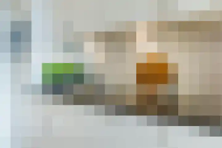 Haydnlaan 8 Breda thumbnail 49