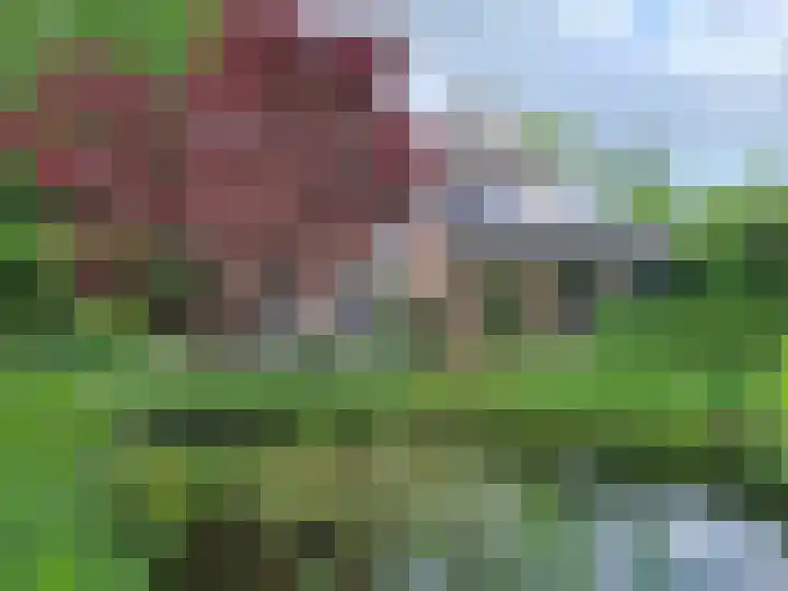 Haydnlaan 8 Breda thumbnail 49