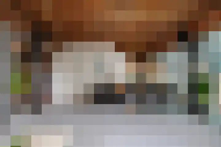 Haydnlaan 8 Breda thumbnail 54
