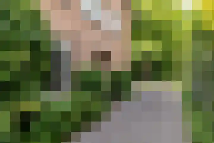 Haydnlaan 8 Breda thumbnail 7