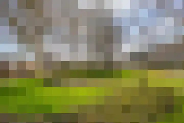 Haydnplantsoen 82 Almere thumbnail 25