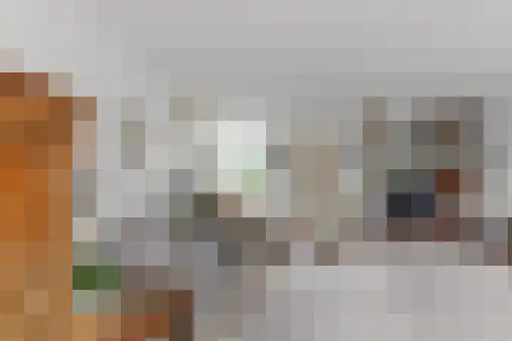 Haydnsingel 15 Barendrecht thumbnail 12
