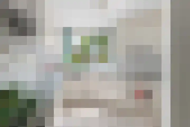 Haydnsingel 15 Barendrecht thumbnail 14