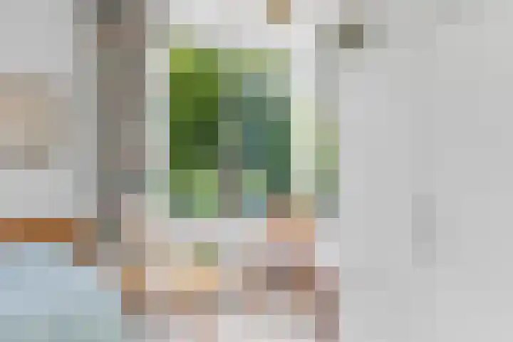 Haydnsingel 15 Barendrecht thumbnail 19