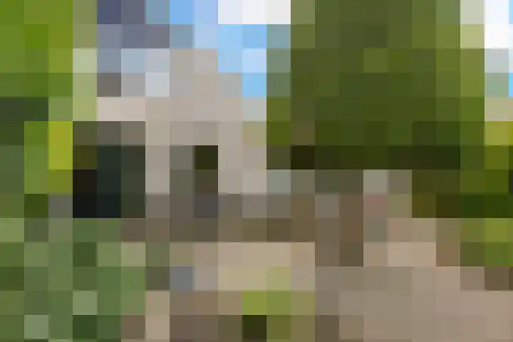 Haydnsingel 15 Barendrecht thumbnail 39