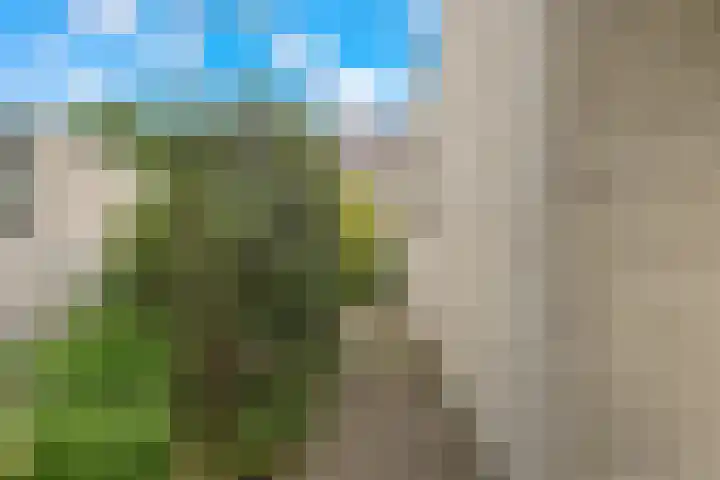 Haydnsingel 15 Barendrecht thumbnail 41