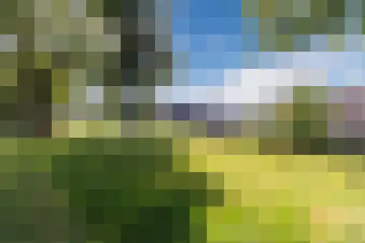 Haydnstraat 4 Schagen thumbnail 22