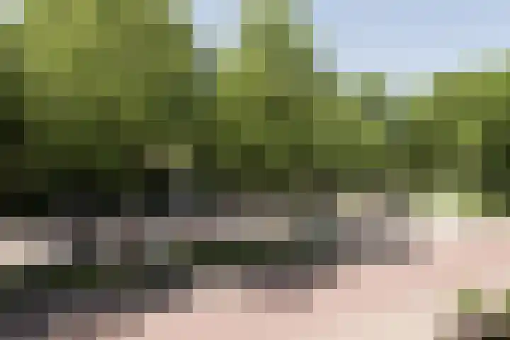 Haydnstraat 5 Aalsmeer thumbnail 17