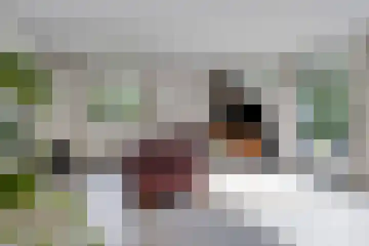 Haydnstraat 6 Halsteren thumbnail 11