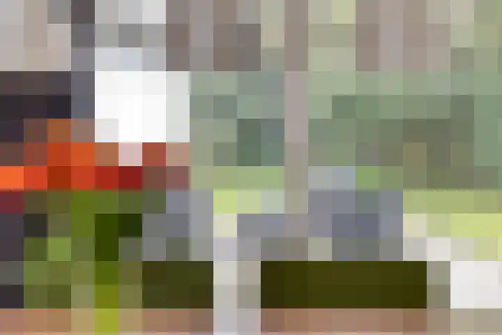 Haydnstraat 6 Halsteren thumbnail 18