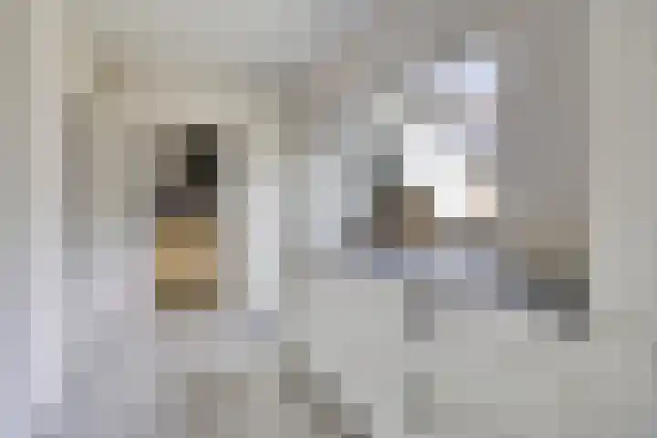 Haydnstraat 6 Halsteren thumbnail 20