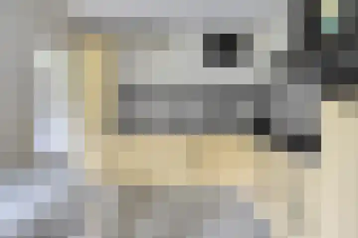 Haydnstraat 6 Halsteren thumbnail 22