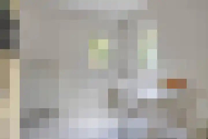 Haydnstraat 6 Halsteren thumbnail 23