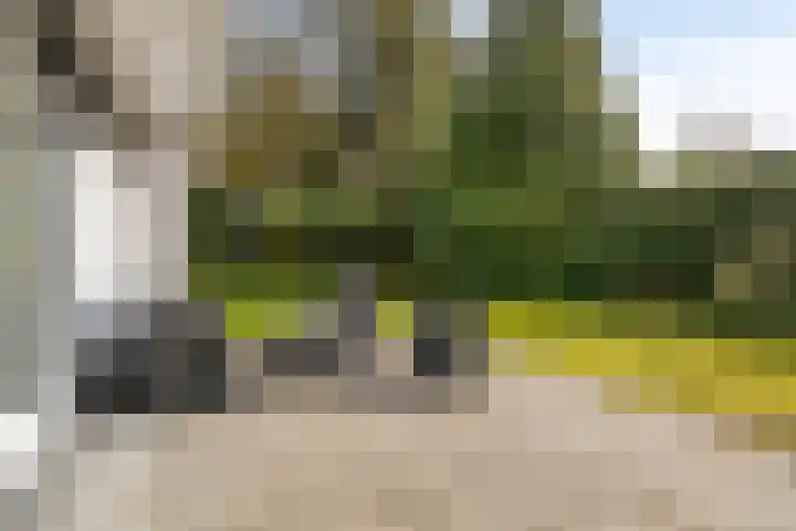 Haydnstraat 6 Halsteren thumbnail 33