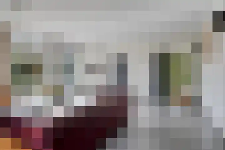 Haydnstraat 6 Halsteren thumbnail 4