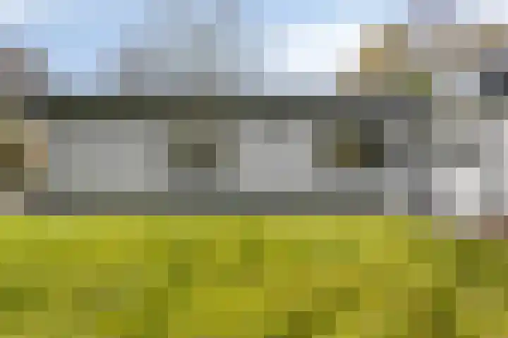 Haydnstraat 6 Halsteren thumbnail 40