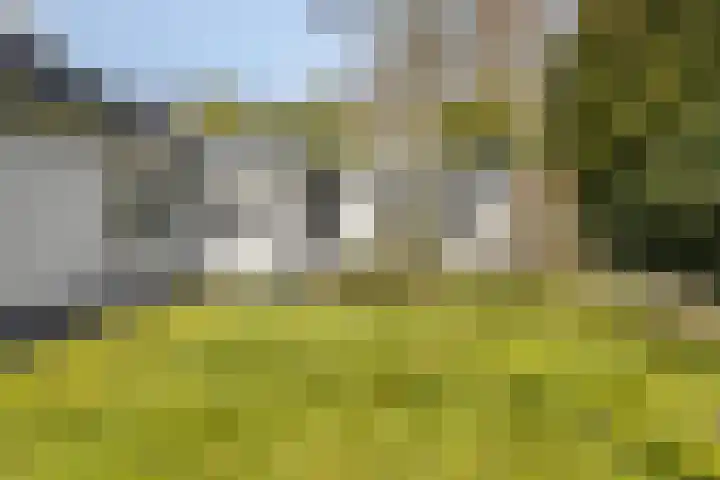 Haydnstraat 6 Halsteren thumbnail 42