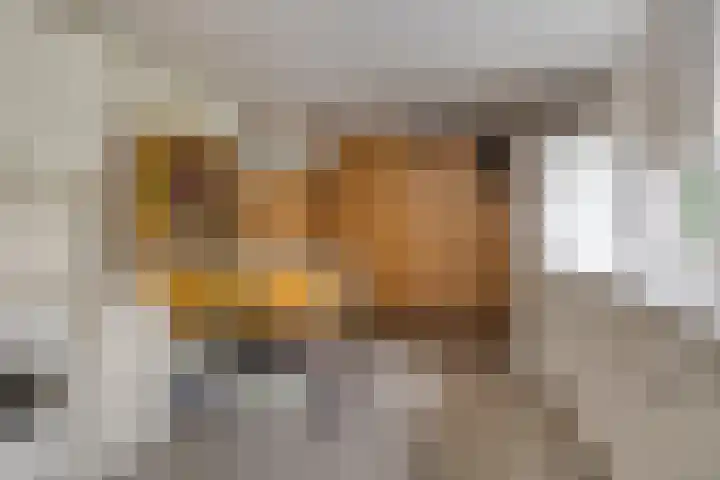 Haydnstraat 6 Halsteren thumbnail 45