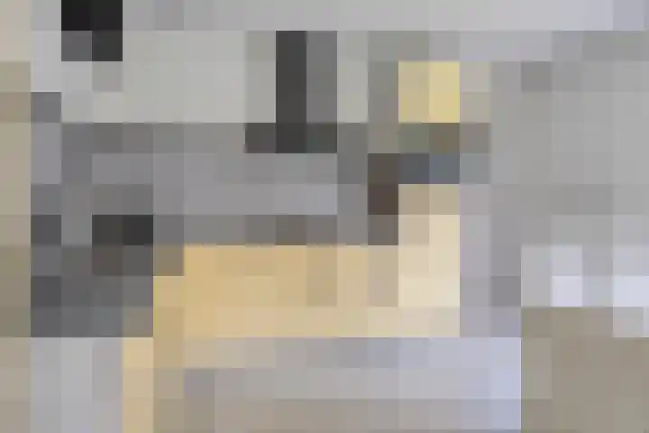 Haydnstraat 6 Halsteren thumbnail 5