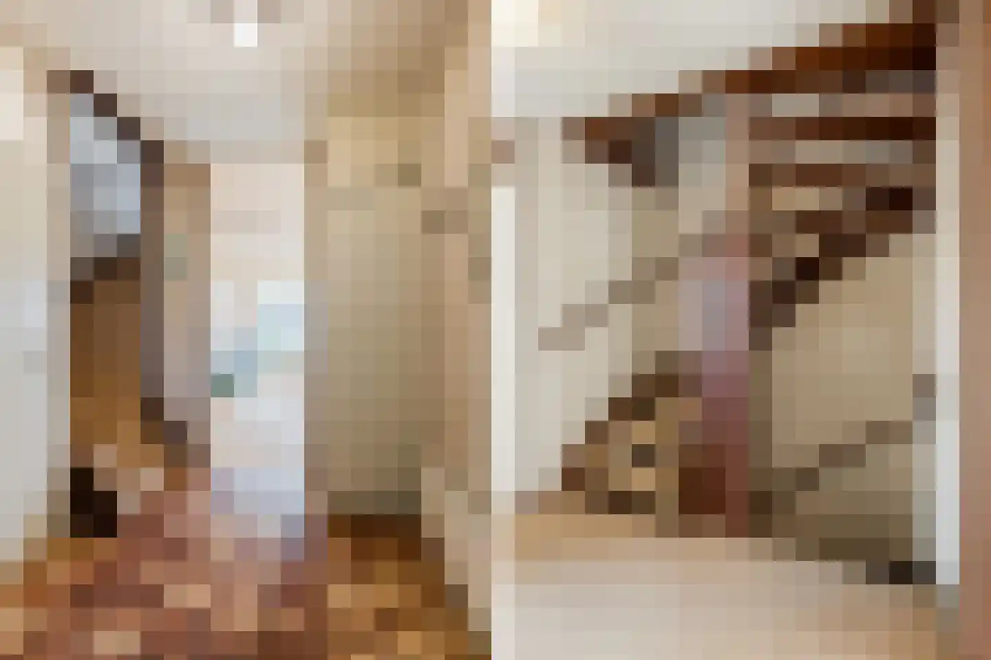 Hazelaar 9 Olst thumbnail 11