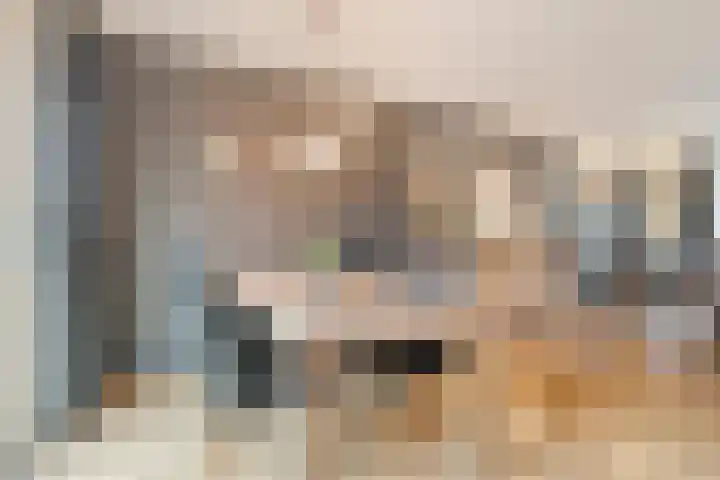 Hazelaar 9 Olst thumbnail 12