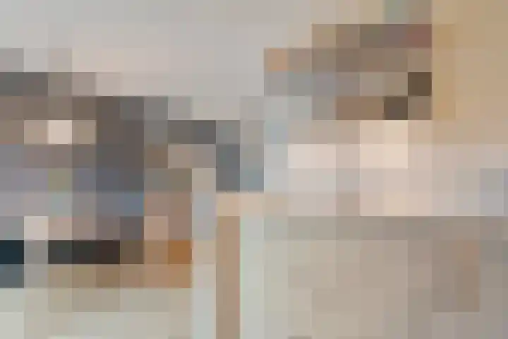 Hazelaar 9 Olst thumbnail 14