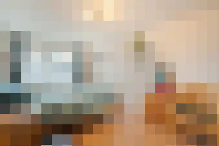 Hazelaar 9 Olst thumbnail 16
