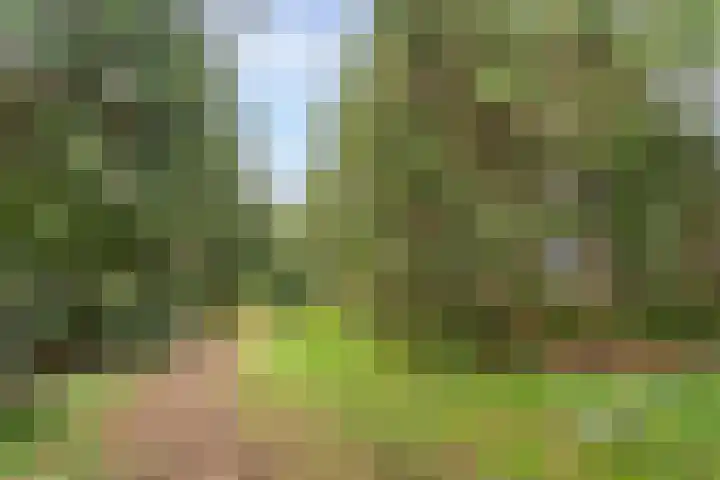 Hazelaar 9 Olst thumbnail 17