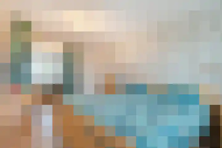 Hazelaar 9 Olst thumbnail 17