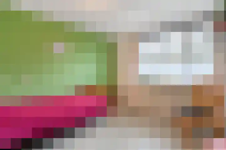 Hazelaar 9 Olst thumbnail 18