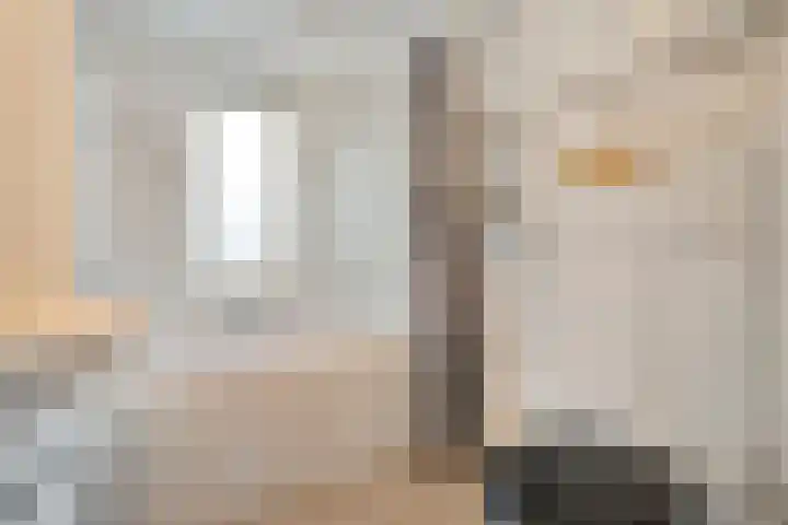 Hazelaar 9 Olst thumbnail 22