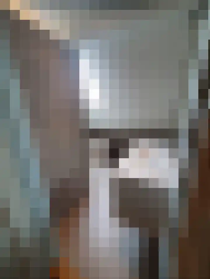 Hazelaar 9 Olst thumbnail 27
