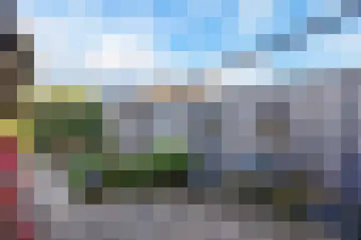 Hazelaar 9 Olst thumbnail 28