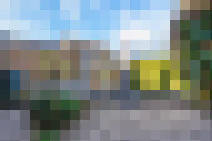 Hazelaar 9 Olst thumbnail 30