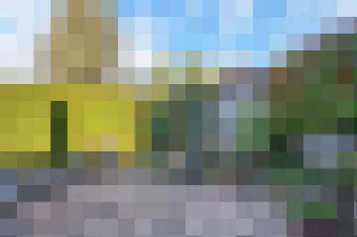Hazelaar 9 Olst thumbnail 32
