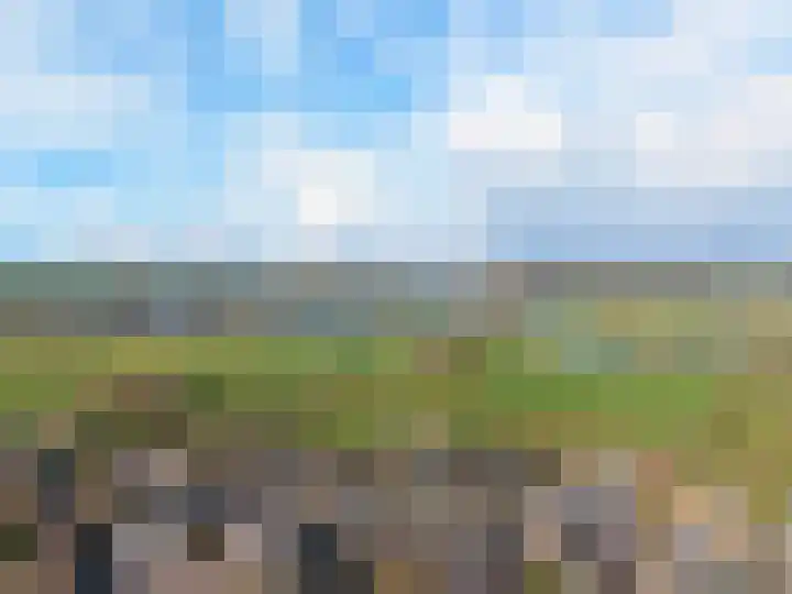 Hazelaar 9 Olst thumbnail 33