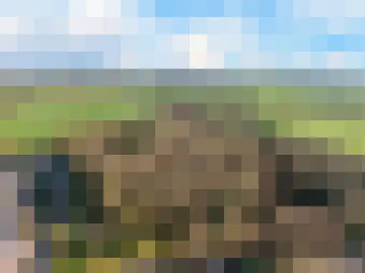 Hazelaar 9 Olst thumbnail 34