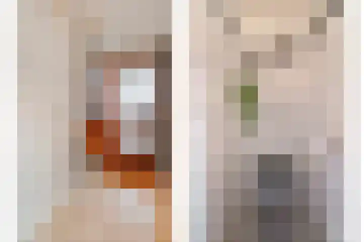 Hazelaar 9 Olst thumbnail 6
