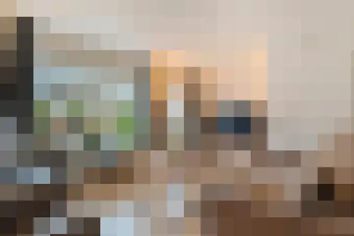 Hazelaar 9 Olst thumbnail 7