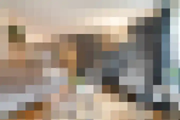 Hazelaar 9 Olst thumbnail 8