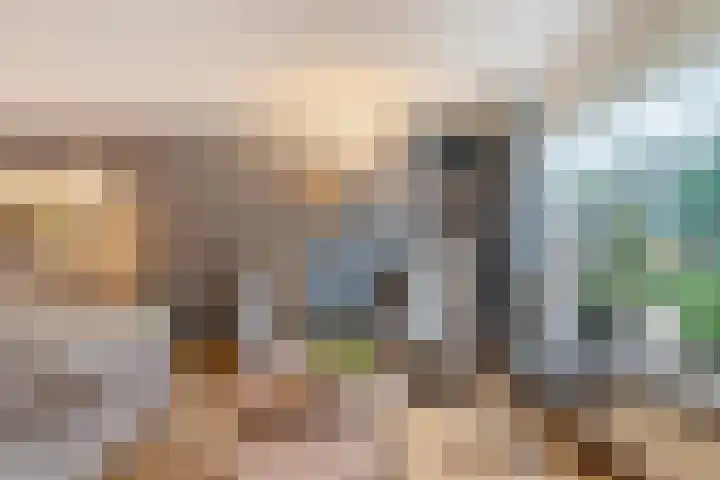 Hazelaar 9 Olst thumbnail 9