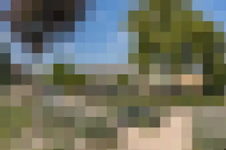 Hazeleger 136 Cuijk thumbnail 29