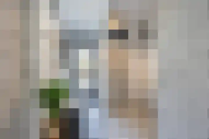 Hazeleger 136 Cuijk thumbnail 5
