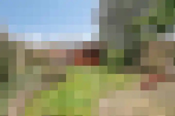 Hazeleger 46 Zeewolde thumbnail 27