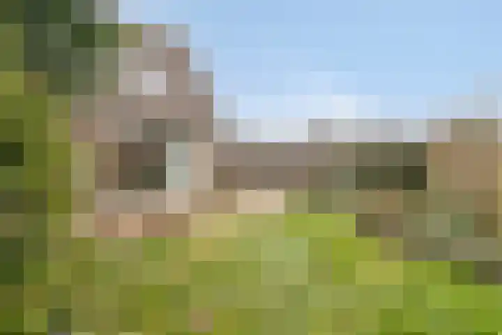 Hazeleger 46 Zeewolde thumbnail 30