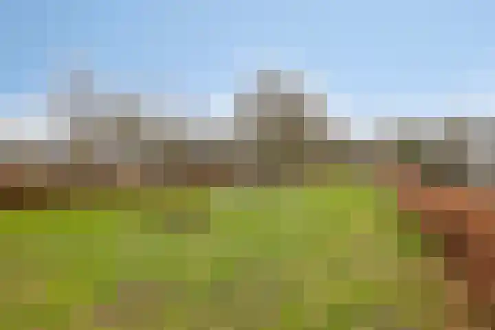 Hazeleger 46 Zeewolde thumbnail 31